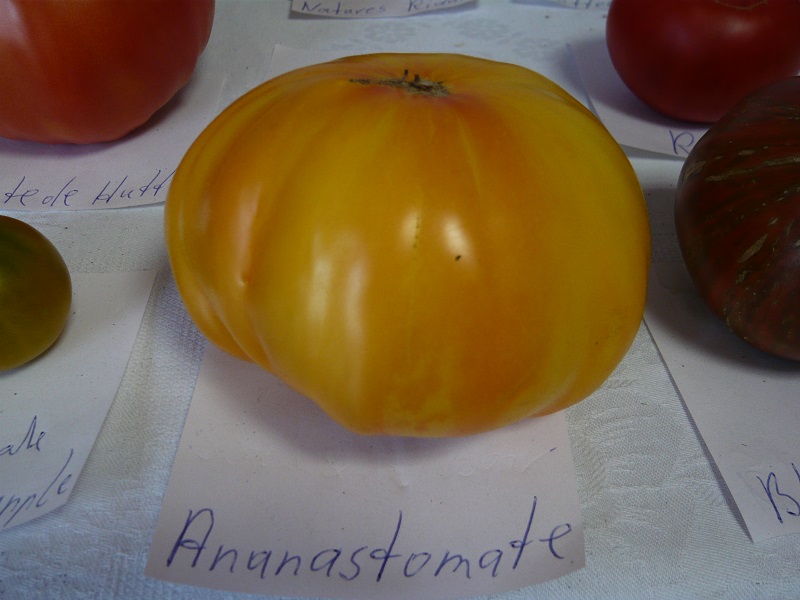 Ananastomate