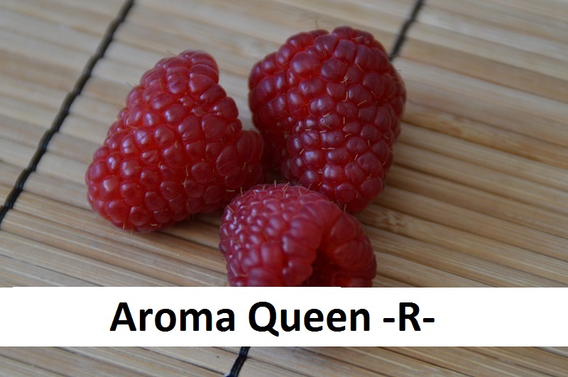 Aroma Queen