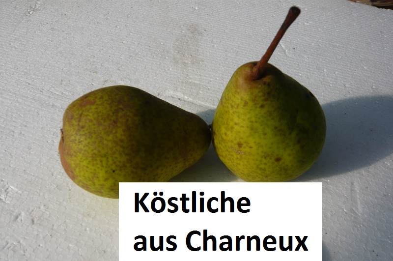 Köstliche aus Charneux